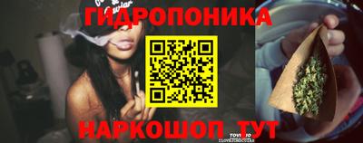 соль ск Свободный