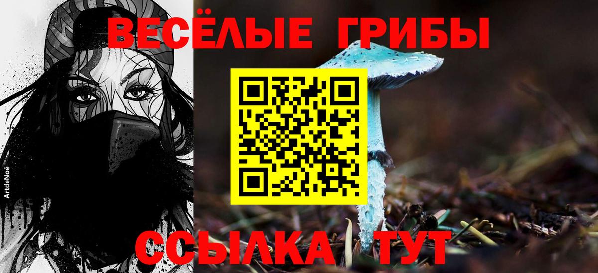 Галлюциногенные грибы GOLDEN TEACHER  Галлюциногенные грибы мицелий  Ростов-на-Дону  Вход с VPN 