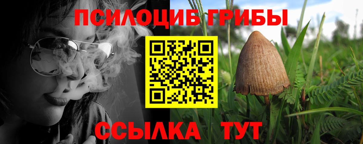 Галлюциногенные грибы Psilocybine cubensis Ростов-на-Дону